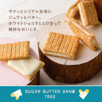 日本 Sugar Butter Tree 開心果朱古力x招牌糖烤牛油夾心餅雙重禮盒 (12件/盒)