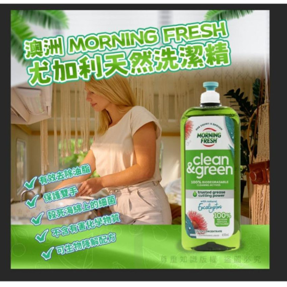 澳洲 Morning Fresh 尤加利天然洗潔精 650ml